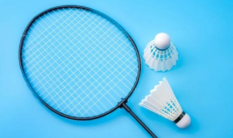 Cách Chơi Cá Cược Cầu Lông Tại BET168VN: Cơ Hội Vàng Cho Người Chơi 6 Cầu Lông Tại BET168VN