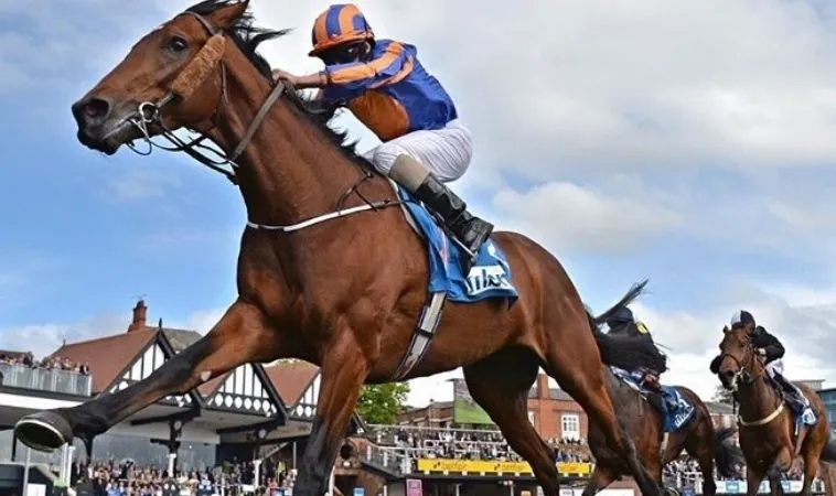 Cách Chơi Cá Cược Đua Ngựa Tại BET168VN: Bí Quyết Thành Công Cho Người Mới 5 Đua Ngựa Tại BET168VN